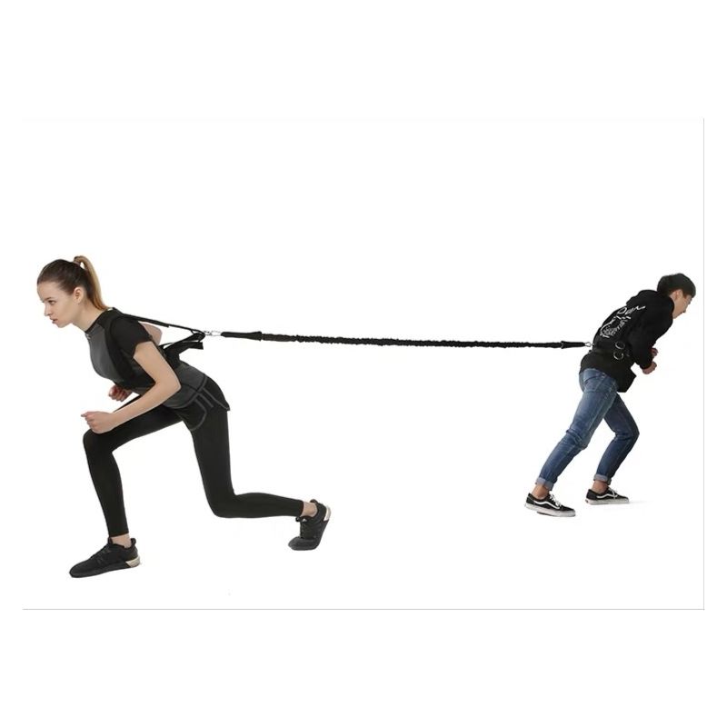 Power Resistor Harness Waist & Shoulder Belt