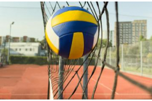 Why Ordering Volleyball Equipment Online from EzySports Is Convenient and Reliable 