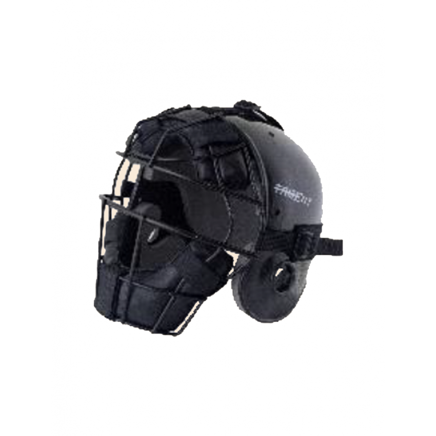 Softball Catcher Helmet