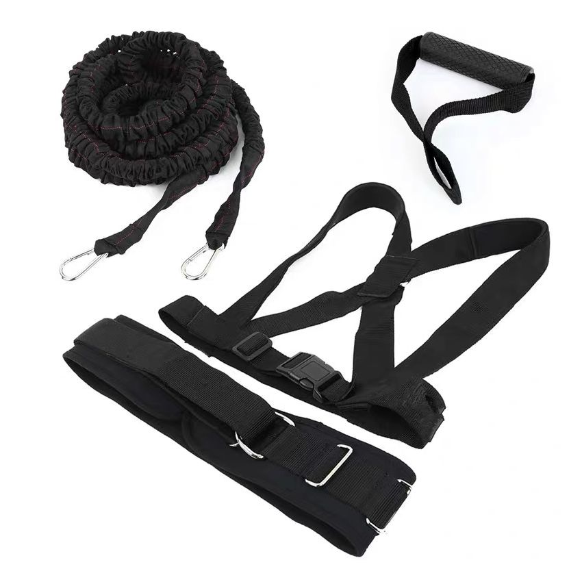 Power Resistor Harness Waist & Shoulder Belt