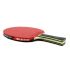 Sanwei Table Tennis Bat Taiji 210 FL