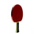 Sanwei Table Tennis Bat Taiji 210 FL