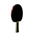 Sanwei Table Tennis Bat Taiji 210 FL