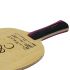 Sanwei C&C Carbon Blade with Cover - FL