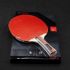 Sanwei Table Tennis Bat Taiji 310 FL