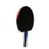 Sanwei Table Tennis Bat Taiji 710 FL