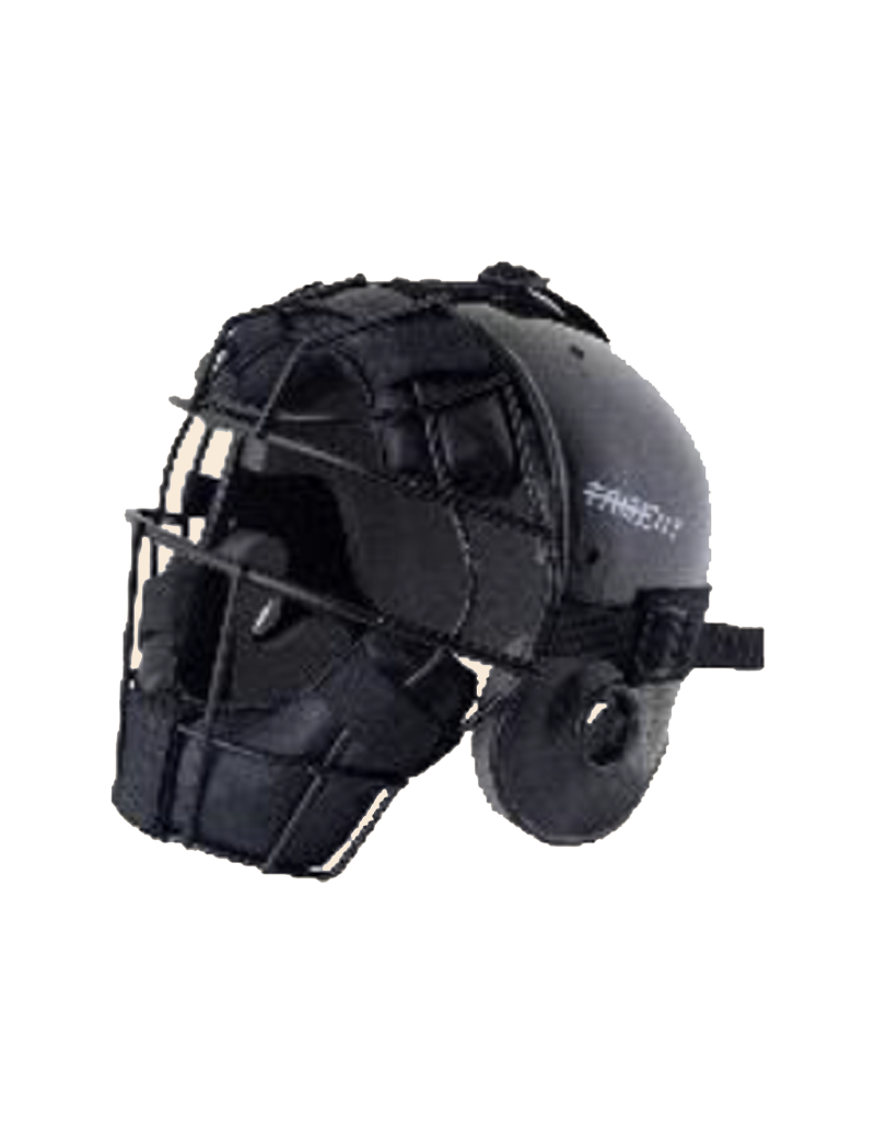 Softball Catcher Helmet